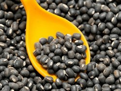 Black lentil Farming