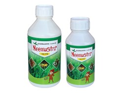 Prevent pest using neemastra