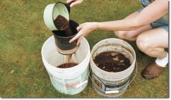 How to make compost tea manure for garden