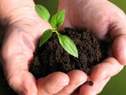 Types of bio fertilizer and it use