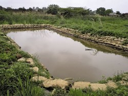 Weed control of pond fishery Farming