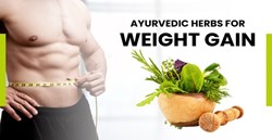 Tips for weight gain in a month safely and quickly
