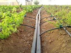 what are the benefits of drip irrigation why farmers will follow this method
