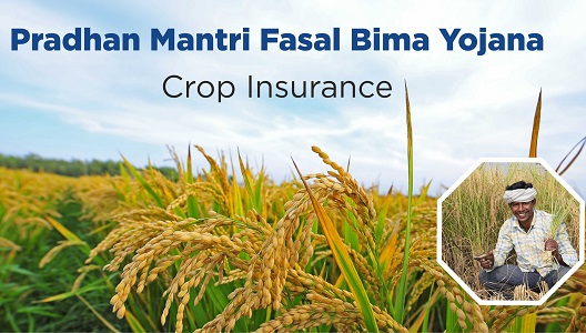 PMFBY: Crop Insurance PMFBY: Crop Insurance