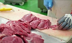 indian largest pork processing project will launch in Nazira before November