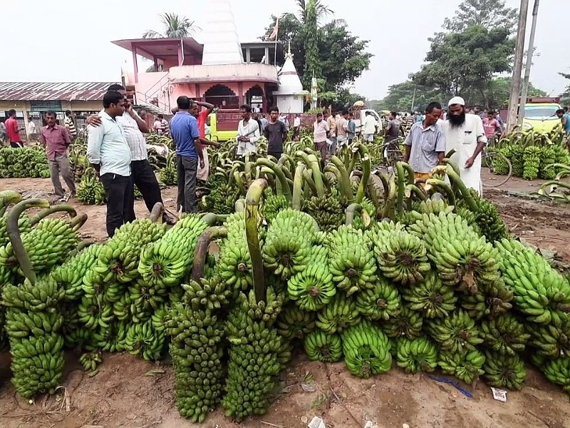 Asia's largest Banana Market (Photo Credit: Google) Asia's largest Banana Market (Photo Credit: Google)