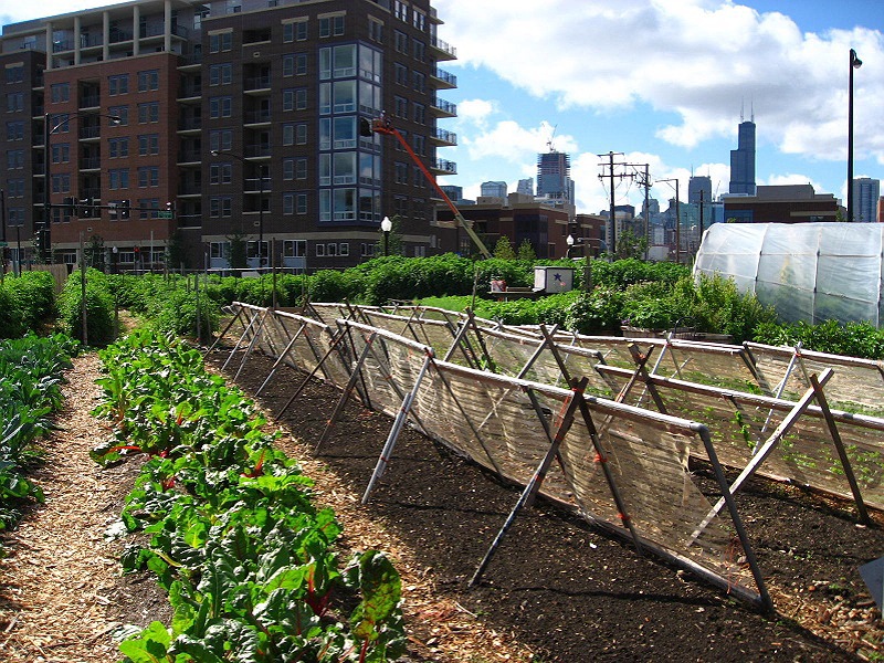 Urban Farming Urban Farming