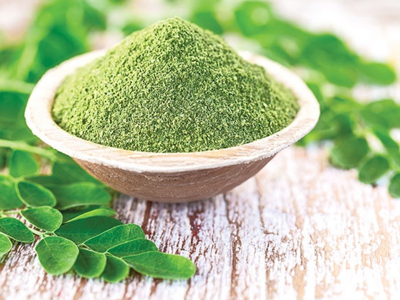 Moringa Powder Health Benefits