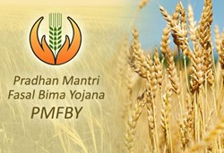 Know how to online apply for PM Fasal Bima Yojana