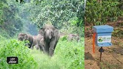 Project RE_HAB in Assam