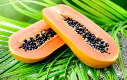 Health benifit of papaya in winter season