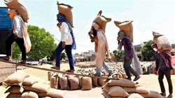 e-Shram card employee get Rs. 500 monthly