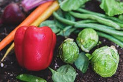 through garden crop farmer can earn more profit