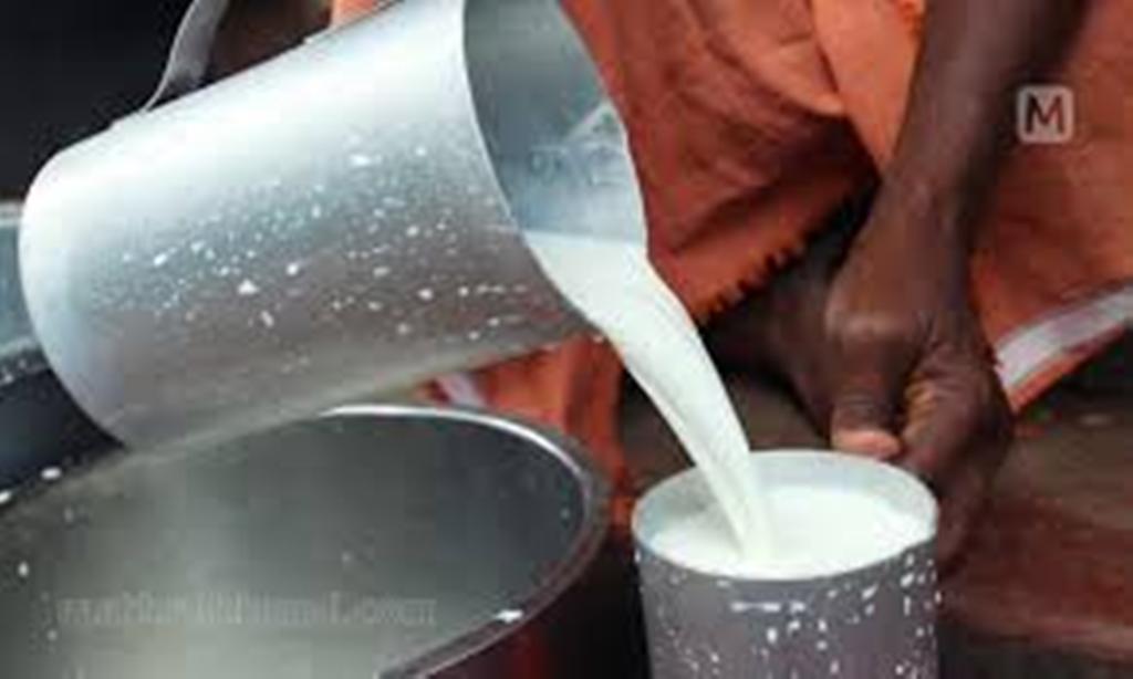 Milk Production in Assam