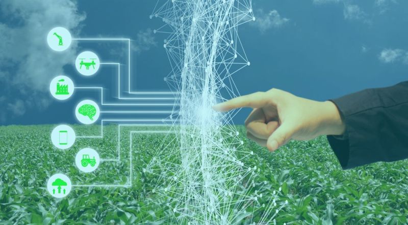 Artificial Intelligence in Agriculture Sector