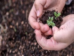 Effective Microorganisms in agriculture Sector