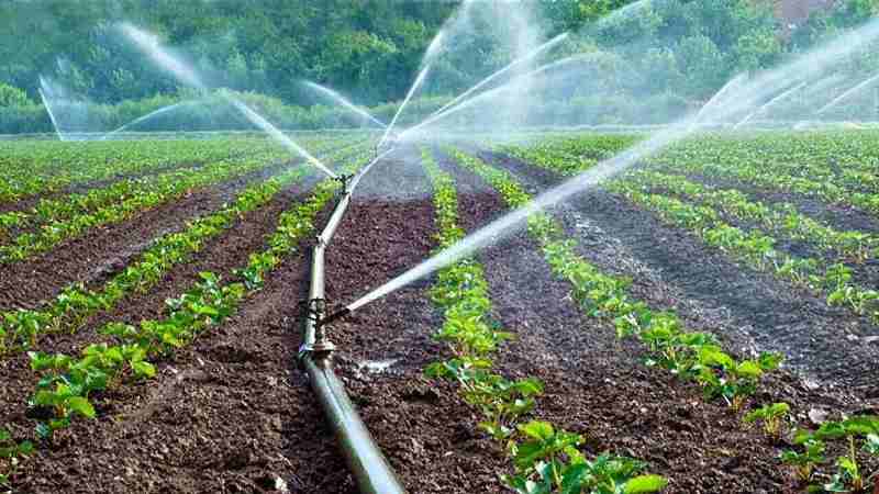 Government is Providing 55% Subsidy on Irrigation Equipment
