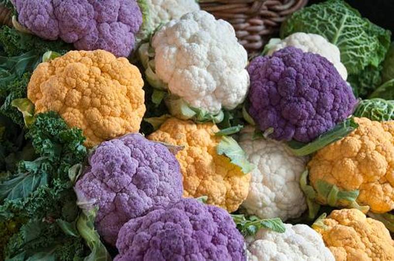 Maharashtra Farmer earns lakhs of rupees by cultivating colourful cauliflower