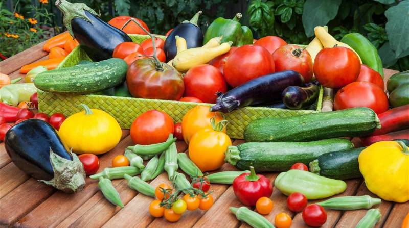Vegetables to Grow in Summer Season