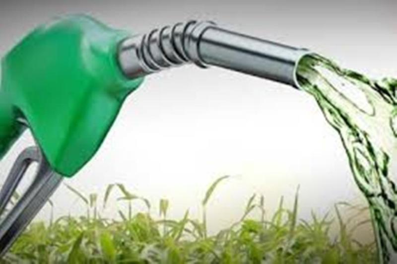 India's Ethanol Roadmap: Goals and Challenges