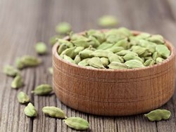 Cardamom Cultivation: How to Grow The Queen of Spices, A Complete guide