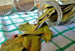 Health Benefit of bay leaf