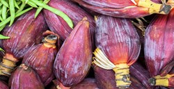 Health Benefit of  Bananna Flower