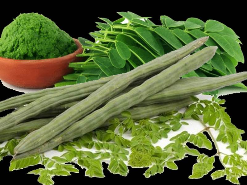 Moringa Leaf Health Benefit