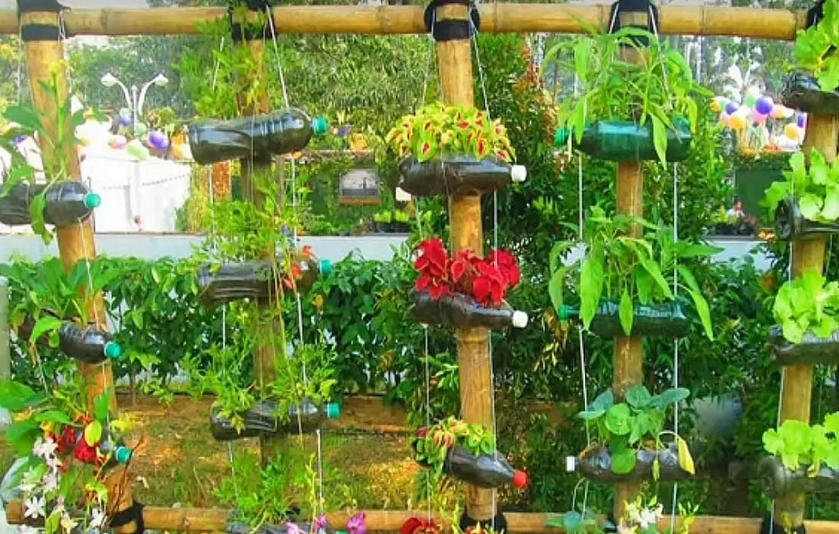 Vertical Gardening Using Plastic Bottle