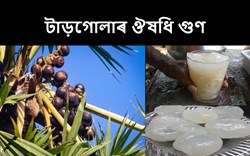 health benefit of Targola