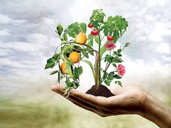 Role of Horticulture in Self-Employment
