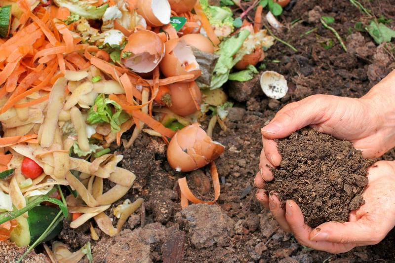 Make more Fertilized soil from Natural Waste