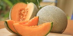 Muskmelon farming earn huge profits
