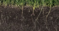 India's Soil Carbon Content Has Reduced to 0.3%