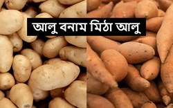 Potato vs Sweet Poptato