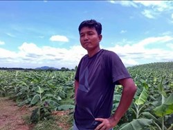 Success Stories of Banana farmer debabrata rava in Goalpara