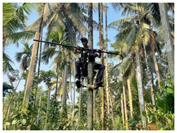 Tree Scooter invented by Farmer