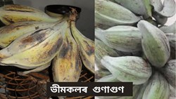 Health Benefit of Bhim Kol