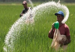 100 fertilizer subsidy take full advantage of this scheme amidst rising inflation
