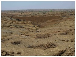 What conditions should be followed to cultivate government land?