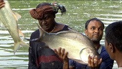 Know About fish Farming