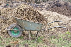 agricultural waste  will be used for many essential products
