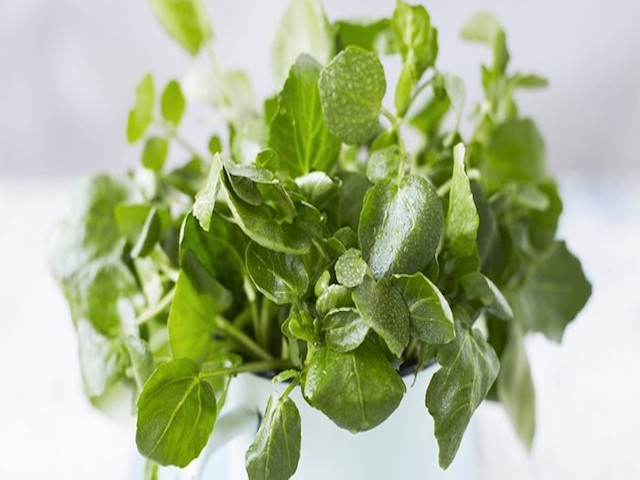 Health Benefits of Watercress