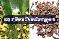 Know About Long Farming in assam