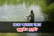 মৎস্য পালনৰ বাবে পুখুৰীৰ প্ৰস্তুতি :