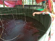  লাভজনক উপাৰ্জনৰ বাবে মাছৰ খাদ্য কেনেদৰে সংৰক্ষণ কৰিব  ?