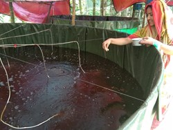 Fish Farming: How to store fish food