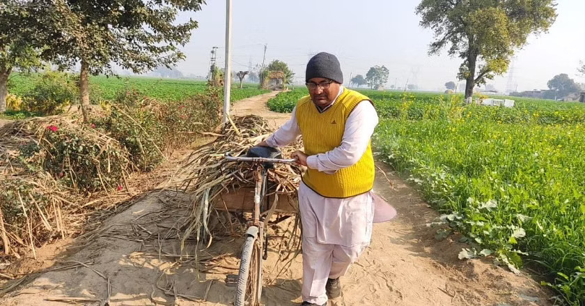 Punjab Farmer Rajinder Singh