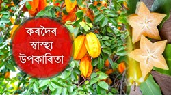 Health Benefit of Star Fruit