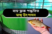 বায়’ফ্লক (Bio flock) পদ্ধতিত মাছ উৎপাদন-